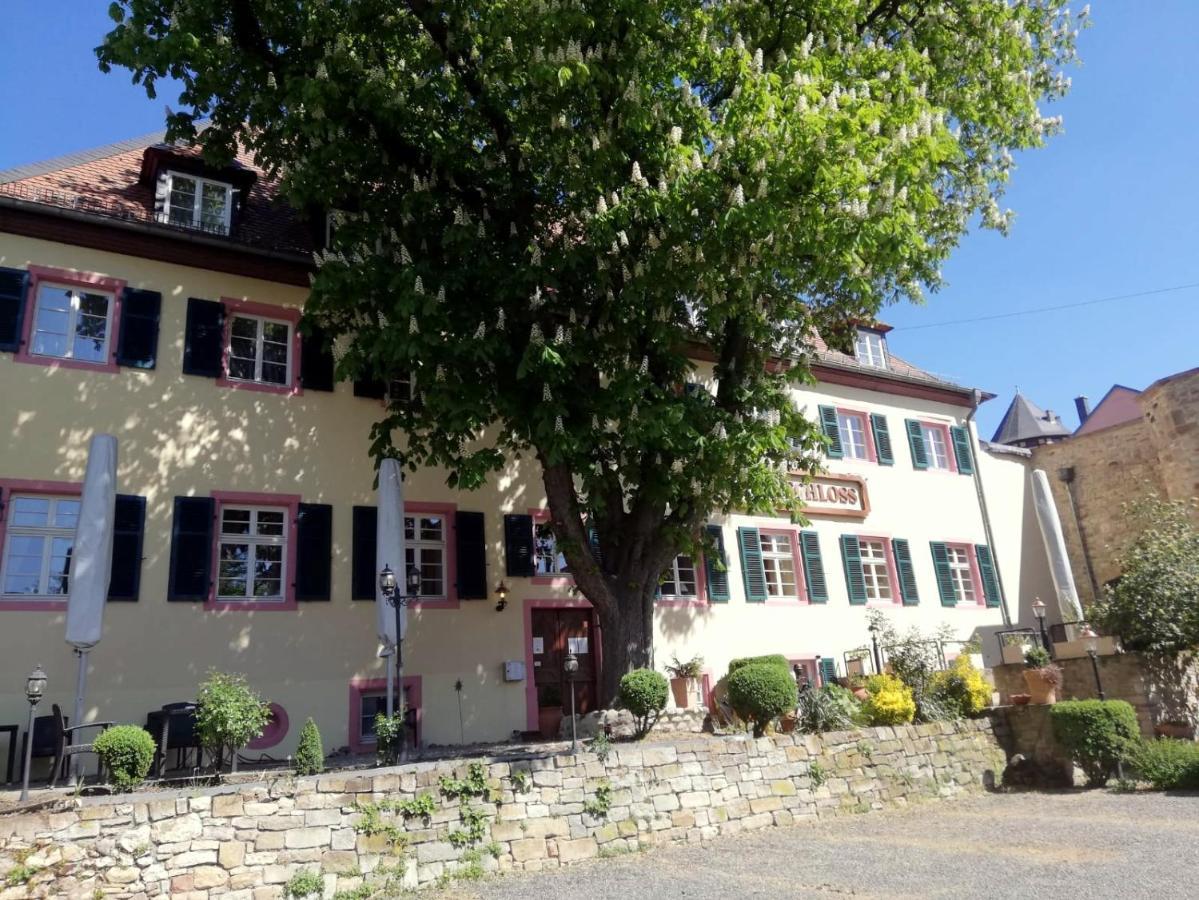 Hotel Am Schloss Алцай Екстериор снимка
